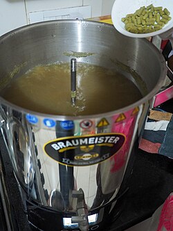 Hop toevoegen aan bierbrouwsel