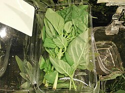 Verse basilicum uit de supermarkt