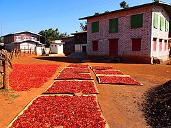 Drogen van verse chili pepers in Myanmar