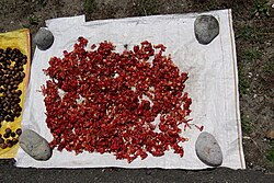 Foelie aan het drogen