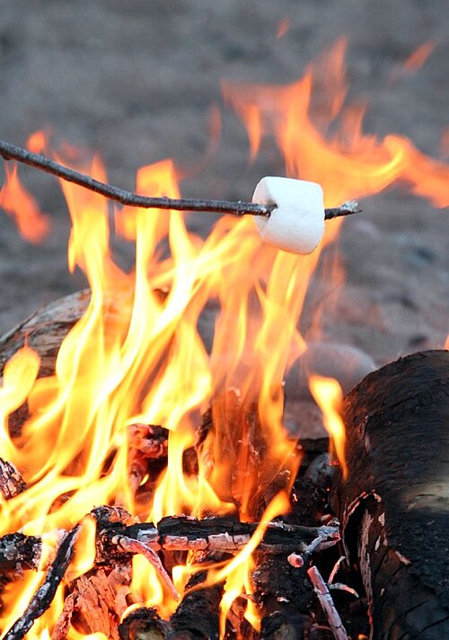 File:RoastingMarshmallow.jpg