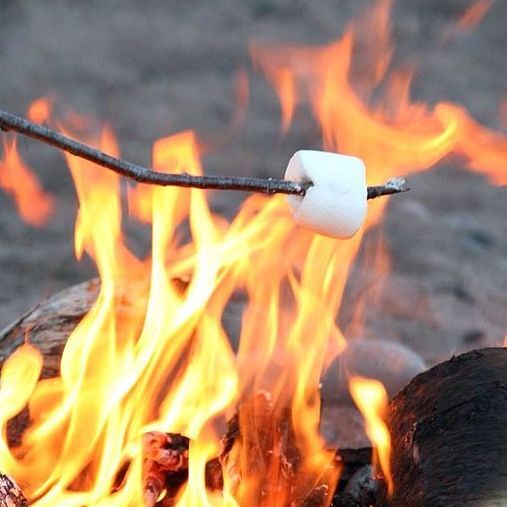 Roasting marshmallow over fire