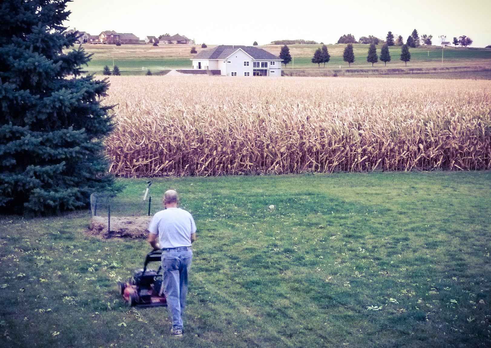 man mowing the lawn