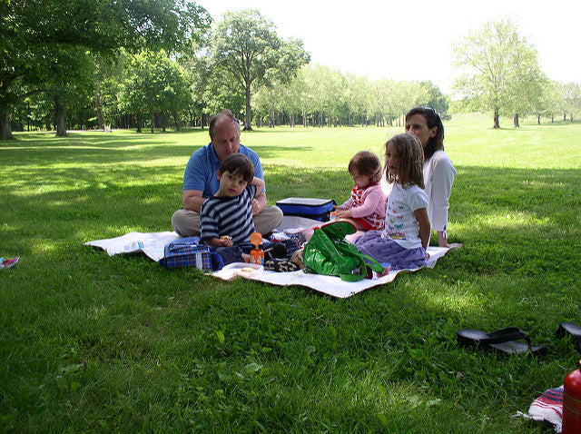 family at picnic at park