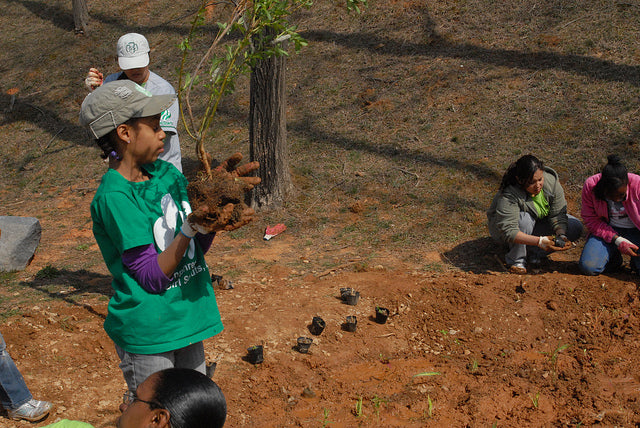 kids planting trees